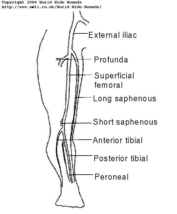 Review of duplex and colour Doppler imaging of lower-limb arteries and