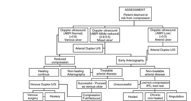 Abpi Index Chart