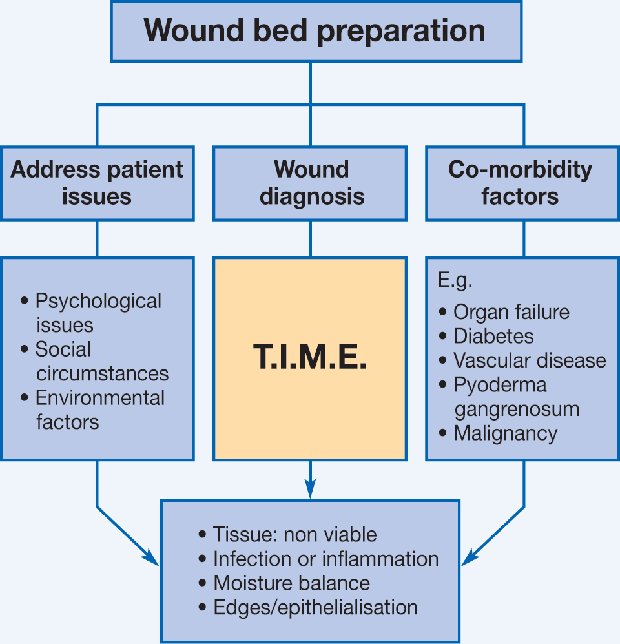 Smith And Nephew Wound Care Education