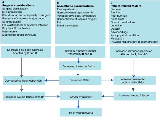 surgical wound infection